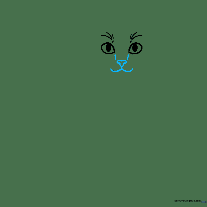 Pencil sketch showing the development of a cat's nose and mouth structure between the eyes.