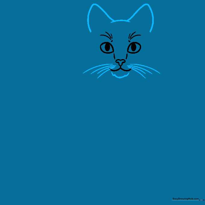 Drawing of a cat's head outline with triangular ears, furry chin texture, and long whisker lines.