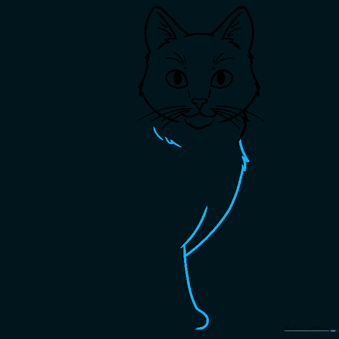 Pencil outline of a cat's back, shoulder, and tail with fur texture details.