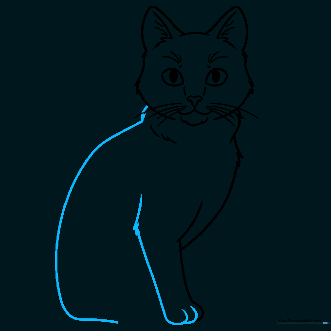 Step-by-step drawing of a cat's front leg and paw with toe details.