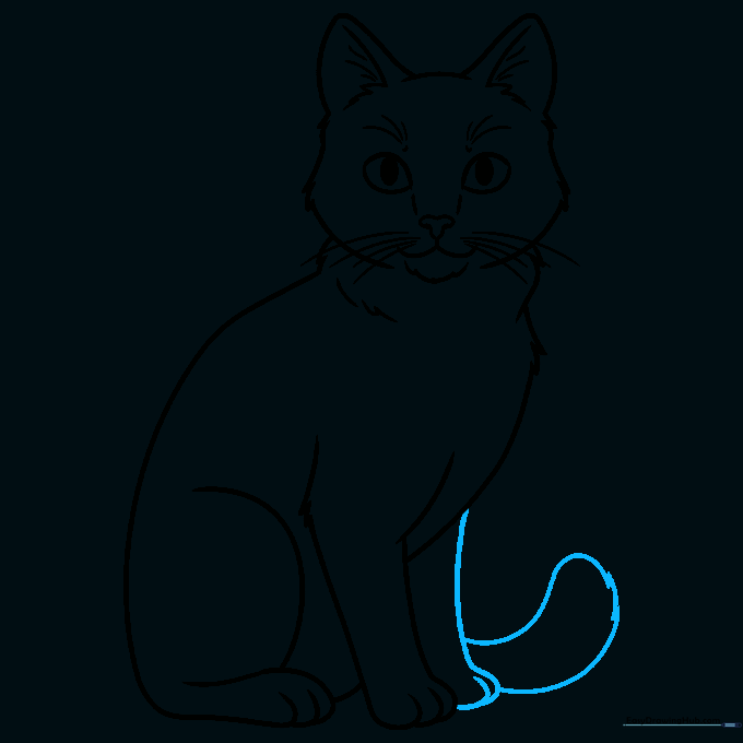 Completed pencil outline of the full cat body, including the tail and paws.