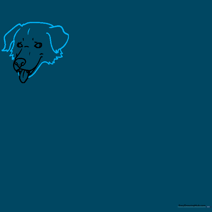 Drawing the dog's head with jagged lines to represent fur texture.