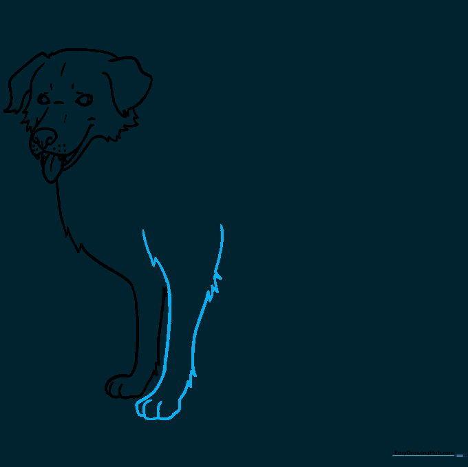 Sketching the second front leg to show perspective and depth.
