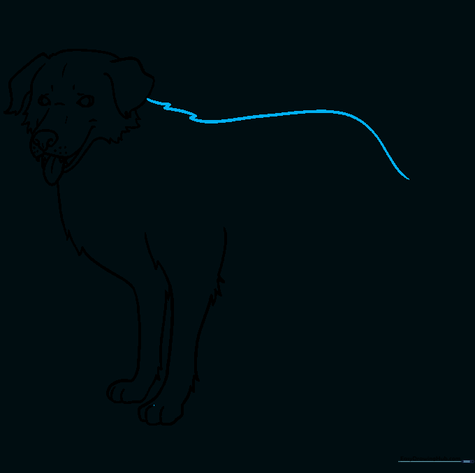 Drawing the dog's back with consistent fur texture.