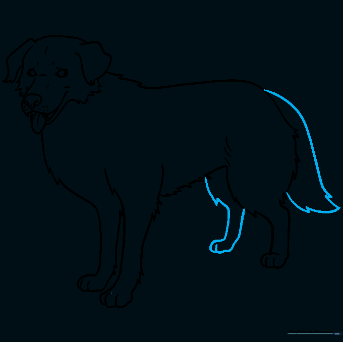 Adding the final leg and a fluffy tail to the dog sketch.