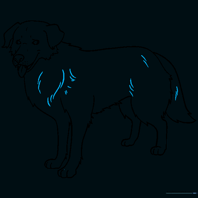Refining the drawing with additional fur texture lines.