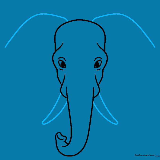 Drawing the pointed tusks and the initial outlines for the large elephant ears.