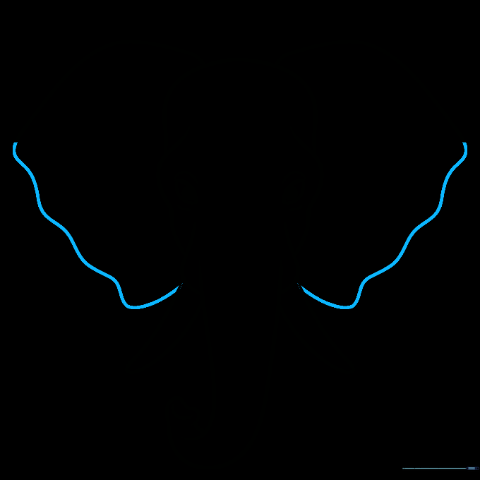 Completing the shape of the large elephant ears using wavy, natural-looking lines.