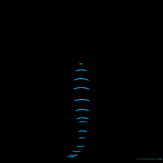 Final line drawing of the elephant with added trunk texture lines.