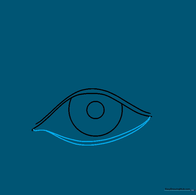 Lower eyelid lines added to complete the almond-shaped eye outline.