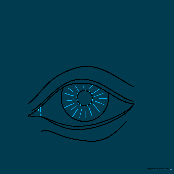 Detailed iris with starburst line patterns and inner corner eye structure.
