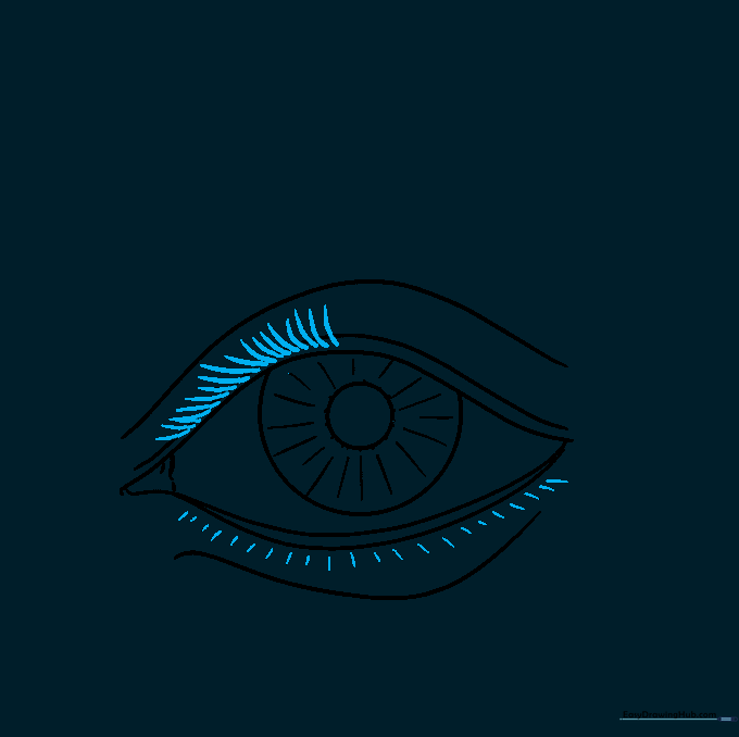 Upper and lower eyelashes drawn with curved, tapered strokes.