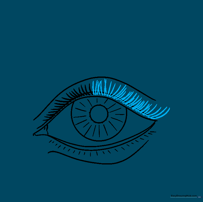 Full set of upper eyelashes added to the eye sketch.