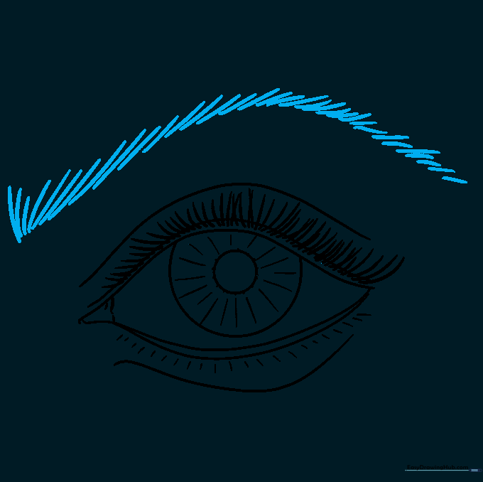 Eyebrow outline created with overlapping curved lines.