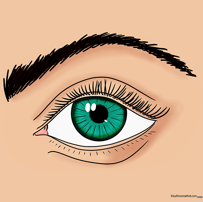 Final colored realistic eye drawing with highlights and shading.