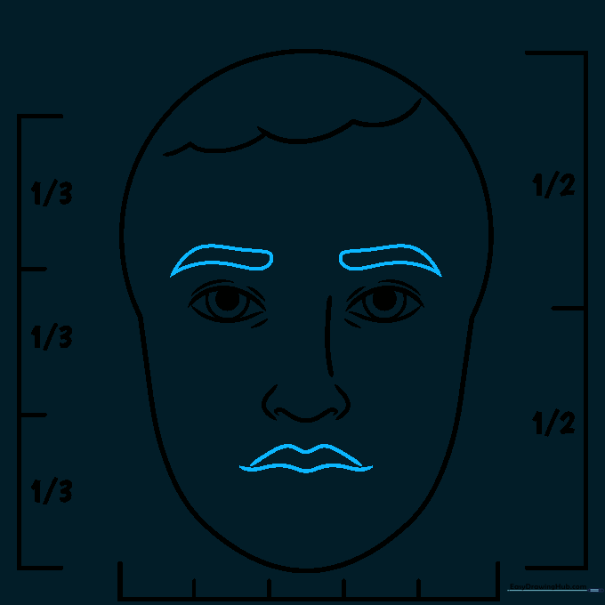 Sketch showing the placement of the nose and eyebrows on the face.