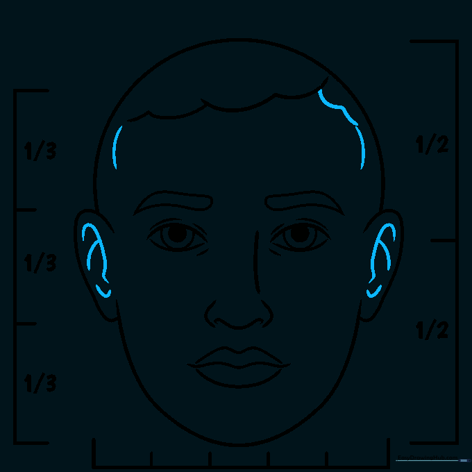 Detailed sketch of ear structures and refined hairline.