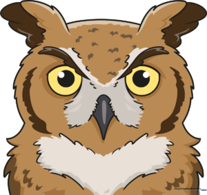 A detailed, realistic owl face drawing with soft feather textures and bright, focused eyes.