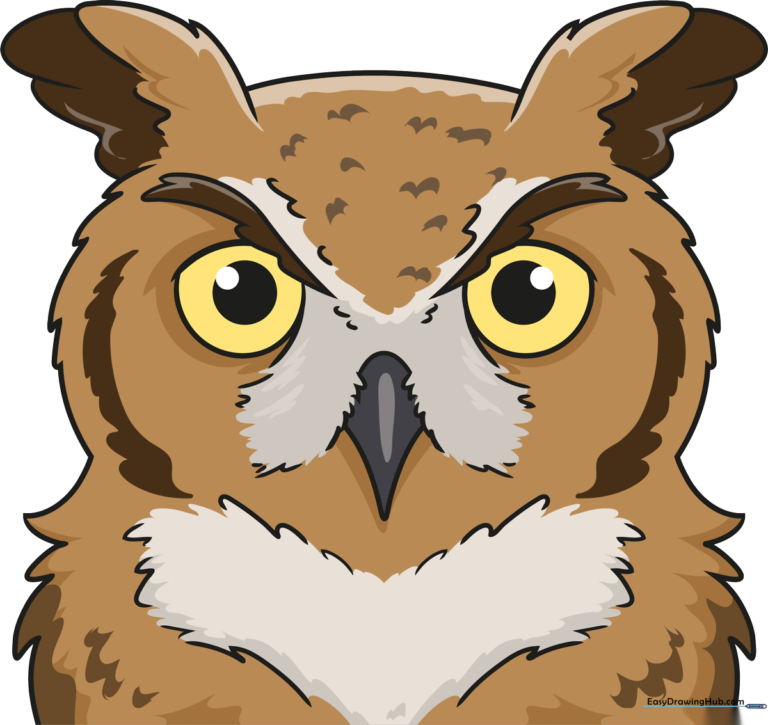 A detailed, realistic owl face drawing with soft feather textures and bright, focused eyes.