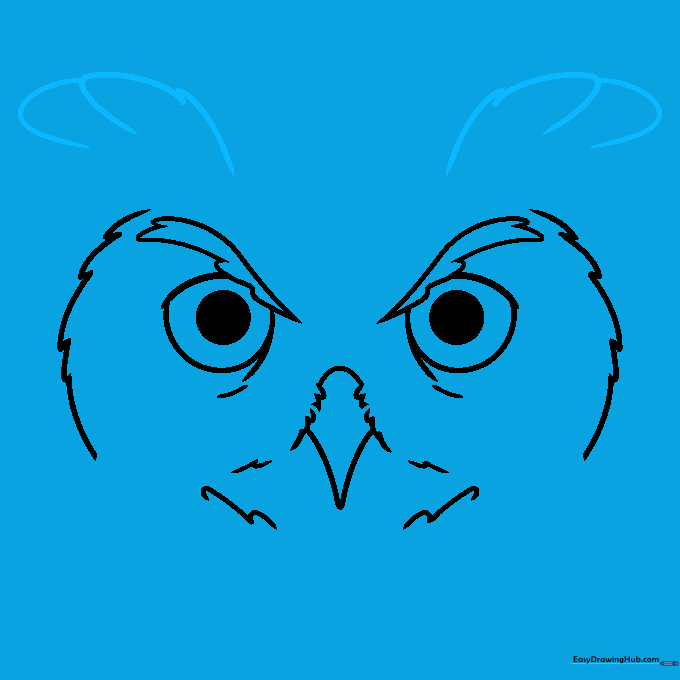Drawing triangular ear tufts on the top sides of the owl's head.