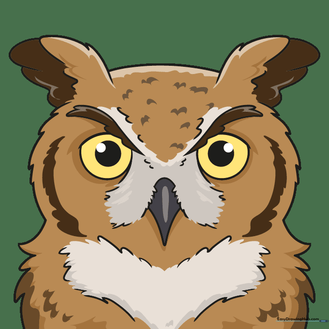 Finished owl face drawing colored with realistic brown and yellow tones.