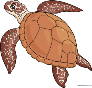 A high-quality, realistic drawing of a sea turtle swimming, used as the featured tutorial image.