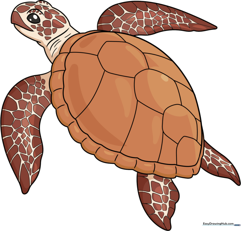 A high-quality, realistic drawing of a sea turtle swimming, used as the featured tutorial image.