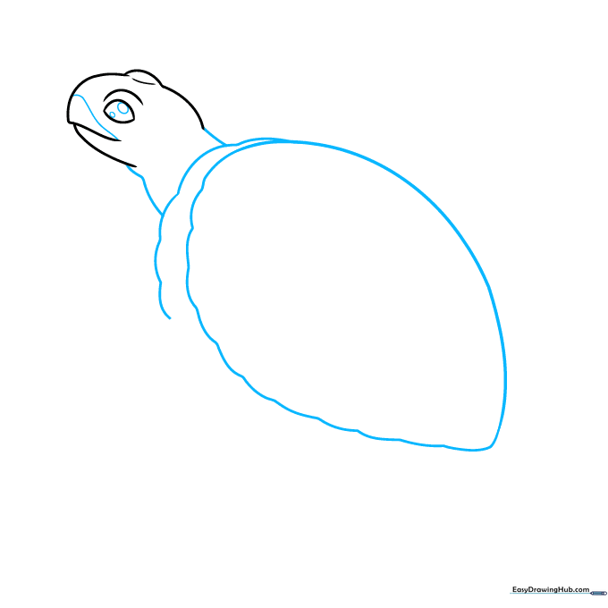 Drawing the sea turtle's neck and the initial outline of the shell with scalloped edges.