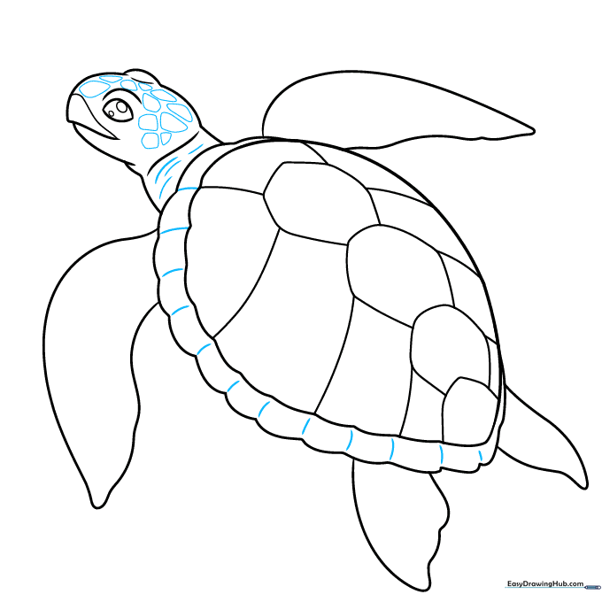 Adding skin texture to the turtle's head and neck using small, irregular shapes.