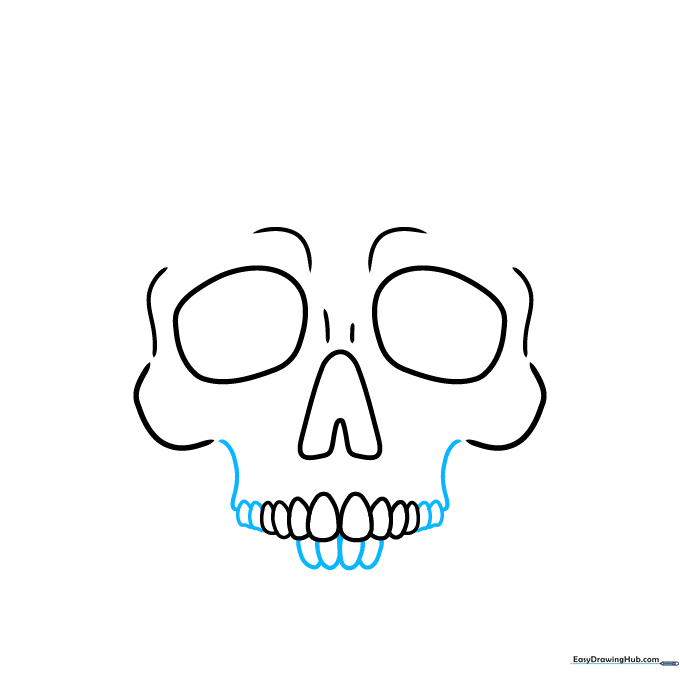 Drawing the lower teeth and the outer curves of the jawbone.