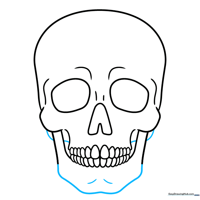 Defining the lower jawbone with a W-shaped line.