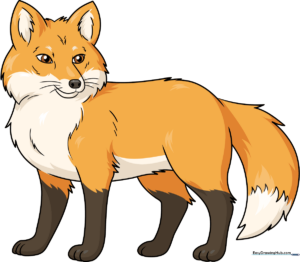 A friendly, finished red fox drawing, showcasing the final result of the tutorial.