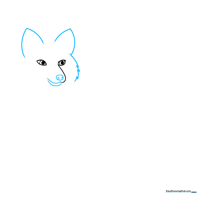 Fox head outline showing triangular ears and detailed snout with nostril spirals.