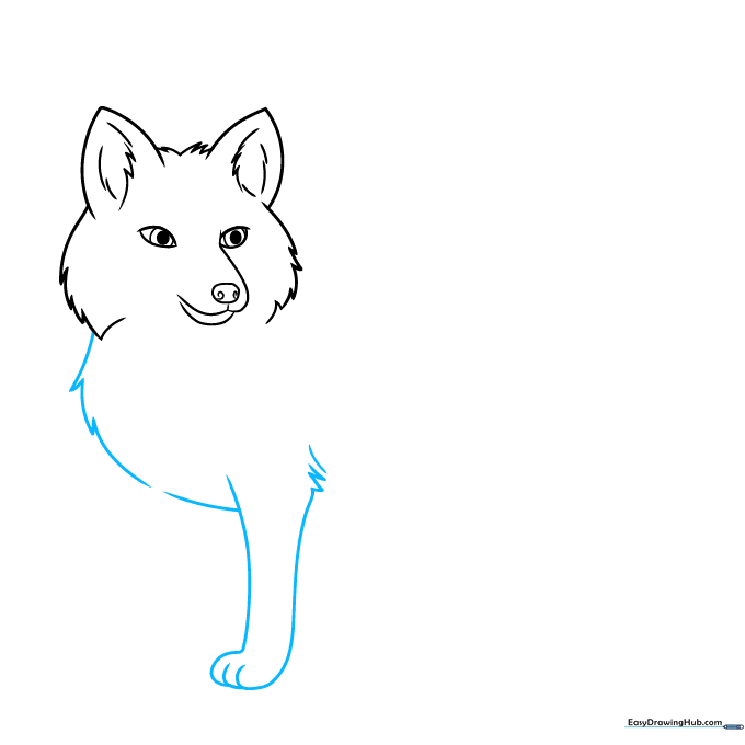 Fox torso outline showing the chest fur and the first front leg.