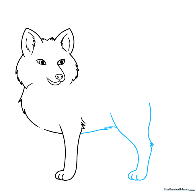 Fox body outline showing the belly and the rear leg structure.