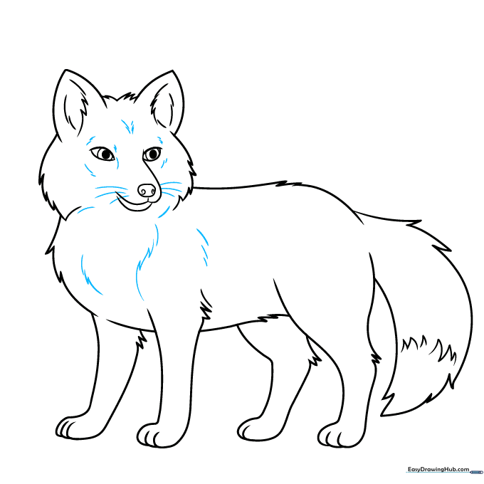 Completed fox line art with whiskers and final fur texture details.