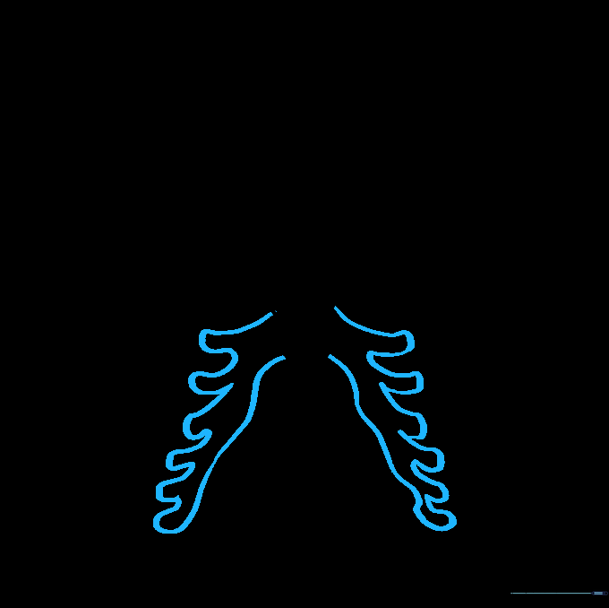 Drawing the lower costal cartilage at the base of the sternum.