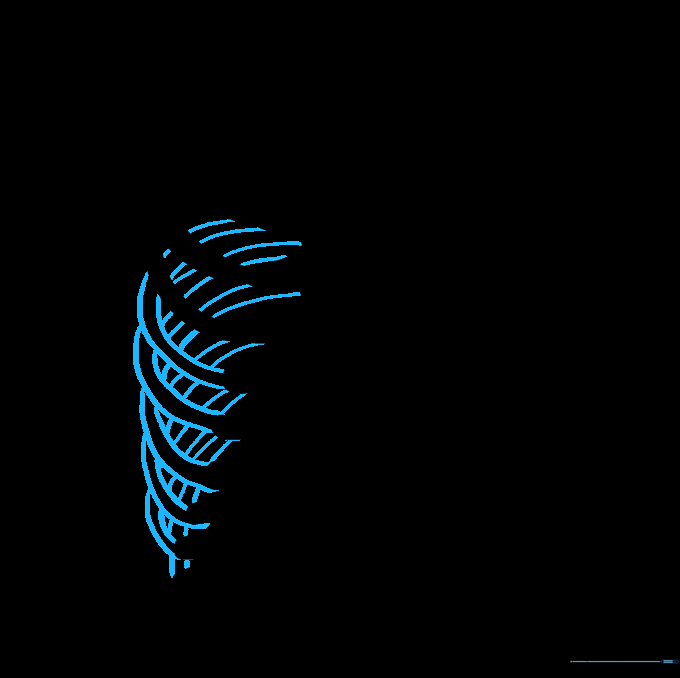 Refining the rib bones with curved lines for a three-dimensional effect.