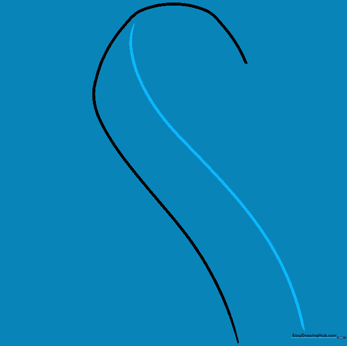 A second parallel line added to create the thickness of the ribbon fabric.
