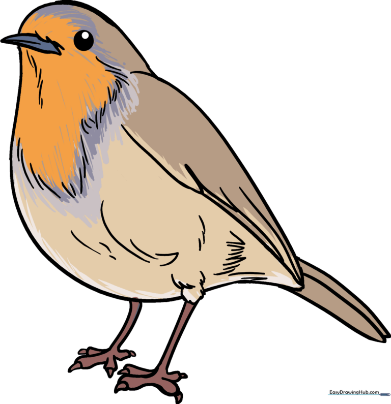 A vibrant, finished illustration of a robin perched on a branch.