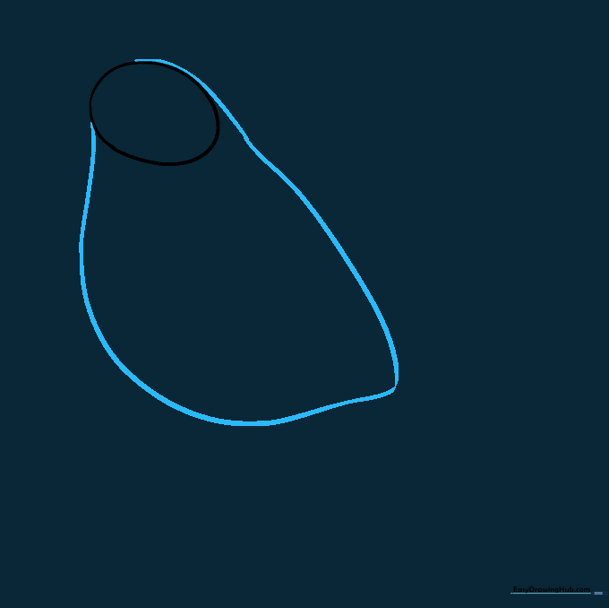 Pencil outline showing the robin's head connected to a rounded body shape.