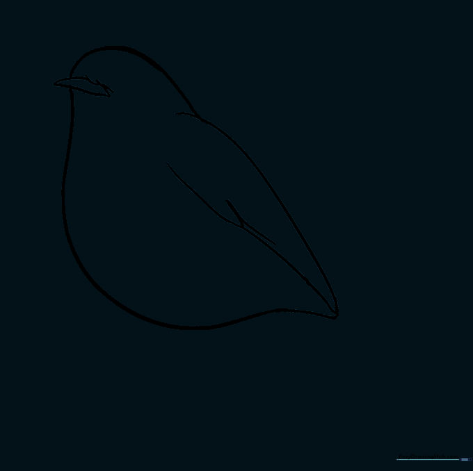 The robin's body with internal guide lines removed.
