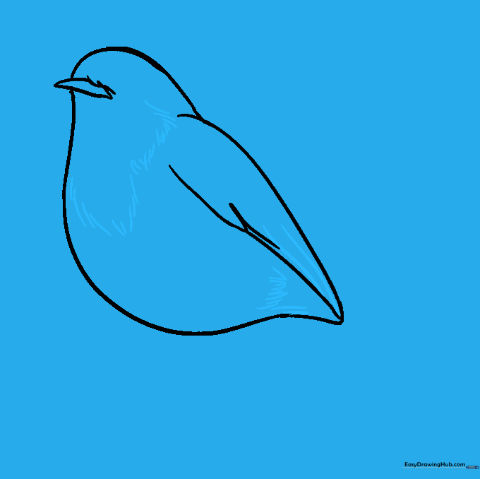 Adding small, V-shaped feather textures to the robin's chest and wing.