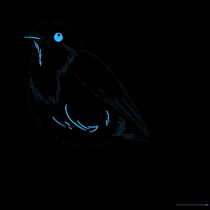 Detailed drawing of the robin's eye with a highlight and beak separation.