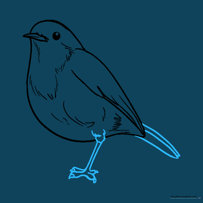Adding the robin's legs, claws, and tail feather details.