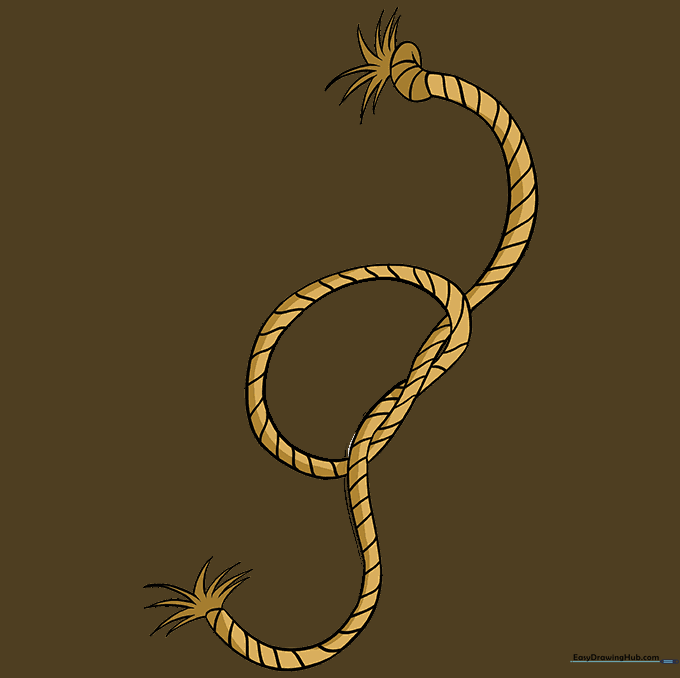 A fully colored, finished cartoon rope drawing.