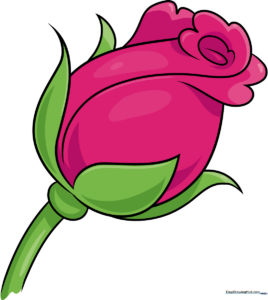 A finished, beautifully colored rose bud illustration, perfect for beginners.