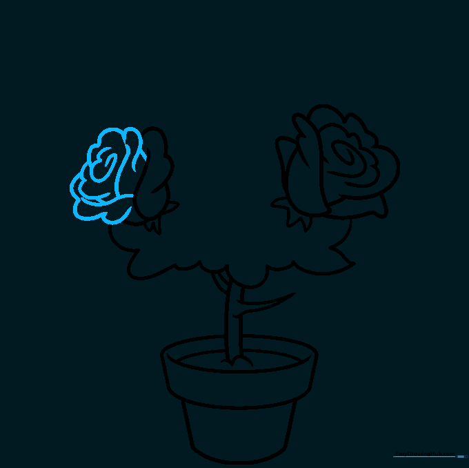 Refining the second rose flower with additional curved petal lines.