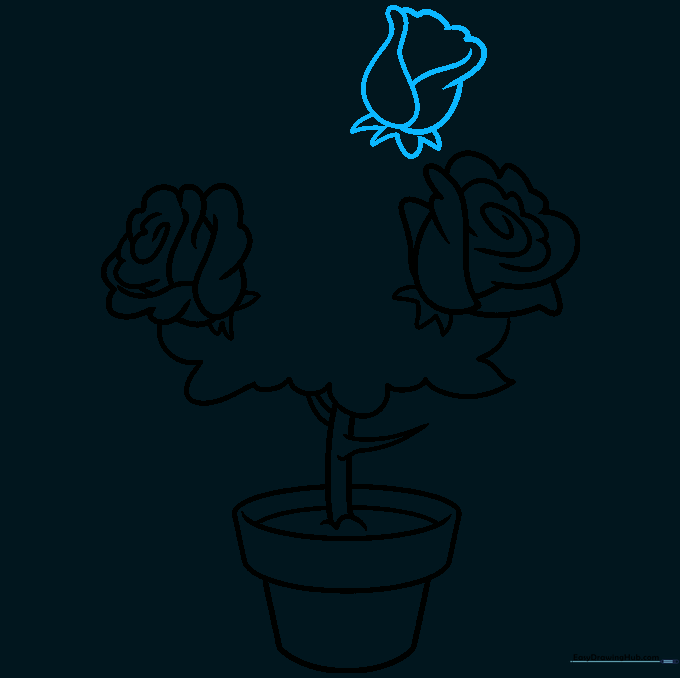 Drawing a small, unopened rosebud to add detail to the bush.