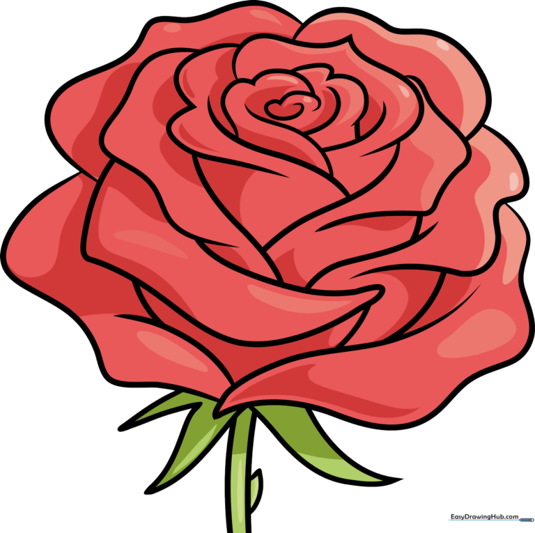 A beautifully rendered, realistic red rose drawing.